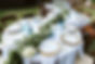 IMG_8968.jpeg