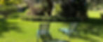Website 1_edited.jpg