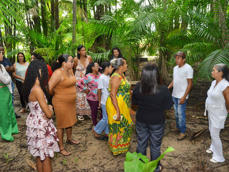 Juçara é referência para educação ambiental e geração de renda no Maracanã