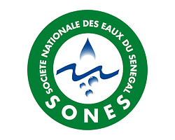 sones logo_Plan de travail 1_Plan de travail 1.png
