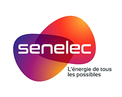 senelec logo_Plan de travail 1.png