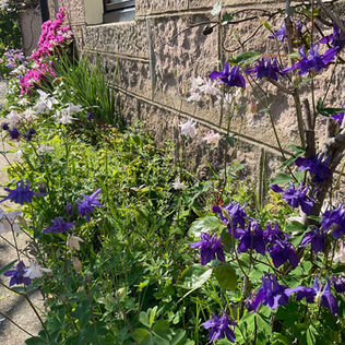 External view of Summer flowers at Tigh na Reultan,  self catering accommodation in Ullapool Holiday cottage