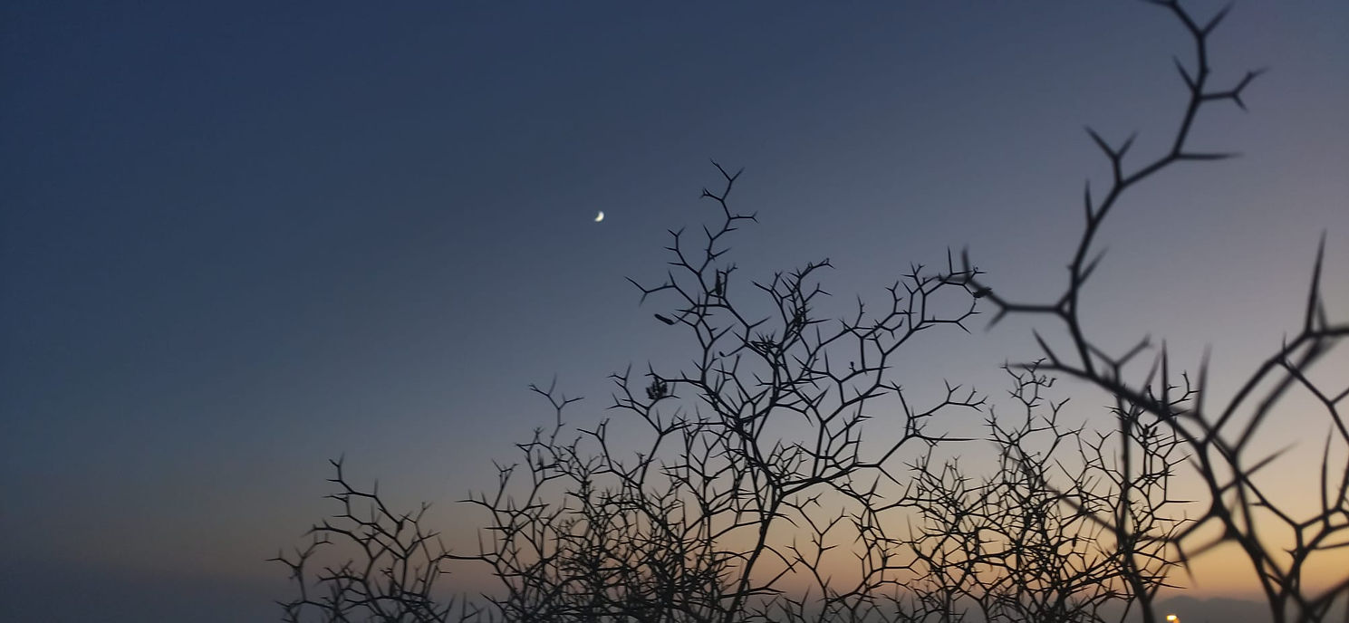 WhatsApp Image 2021-09-21 at 20.57.16.jpeg