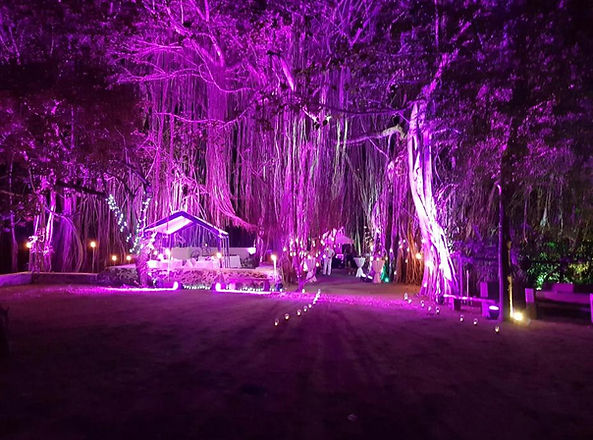 WhatsApp Image 2020-07-26 at 22.00.58.jp