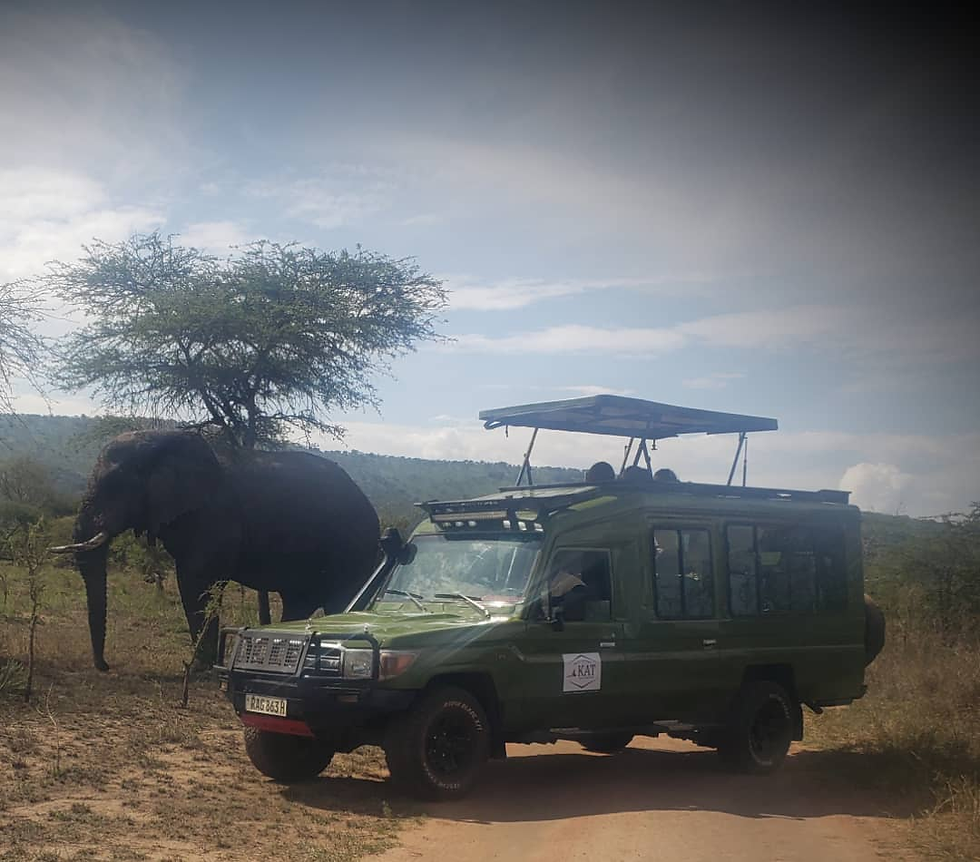 Akagera National Park Game Drive 
