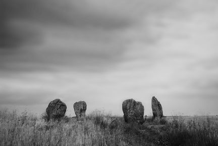 _MF81263-Duddo-D810-947