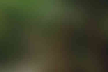 cenote+couple+engagement+session+marriage+proposal+love+nature+destination+photographer+photo+mexico+playa+del+carmen+pre+wedding