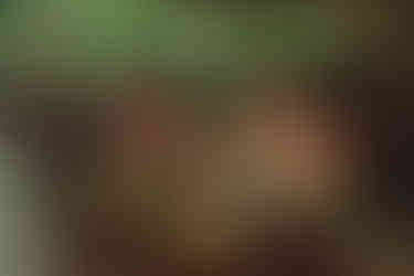 cenote+couple+engagement+session+marriage+proposal+love+nature+destination+photographer+photo+mexico+playa+del+carmen+pre+wedding