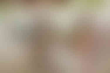 groom+bride+wedding+ceremony+dress+villa+chenera+isla+blanca+costa+mujeres+garden+beach+chaman+traditional+mayan+wedding+gazebo+celebration+photo+happy+photographer+in+cancun