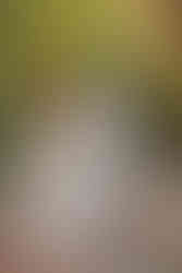 bride+candy+shot+beach+isla+blanca+villa+chenera+photo+costa+mujeres+first+look+groom+surprise+garden+wedding+dress+suit+tie