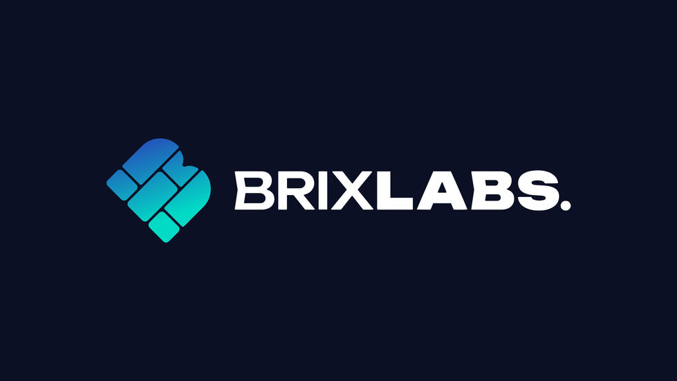 BrixLabs storyboard 1-1