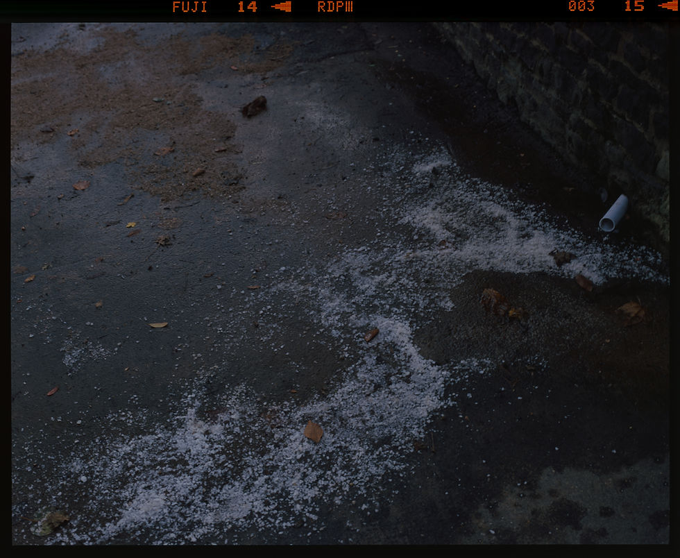 Fujifilm RDPiii001.jpg