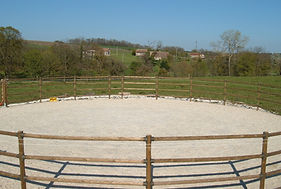 chevaux retraite poneys poney cheval élevage équitation cavalier poulain poulinière équidé hippique pré jumenterie pension ponette ane anesse centre équstre cross pairies dressage obstacles cross contry showjumping abris