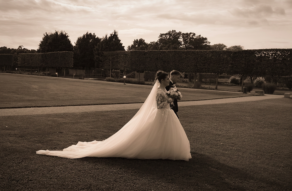 Photography of a bride and groom walking in a garden. The sepia tone and the bride's elegant dress suggest a classic wedding celebration.
