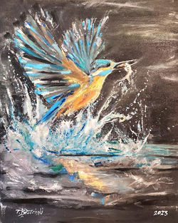 # 69 Kingfisher - Water Bird Collection