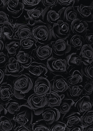Untitled design (18).png
