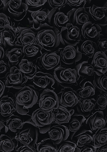 Untitled design (18).png