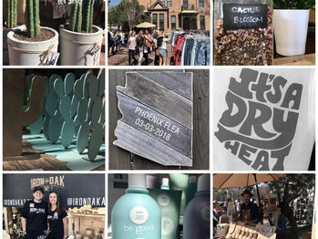 Phoenix Flea