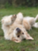 8cc7a0cf-43ea-4ec7-9241-519a6c8e3814