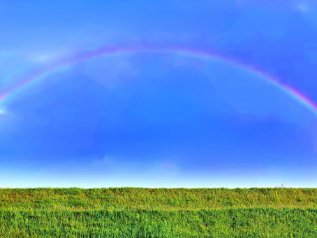 【その場しのぎ卒業】整体で“根本改善”すると、どんな未来が待っている?