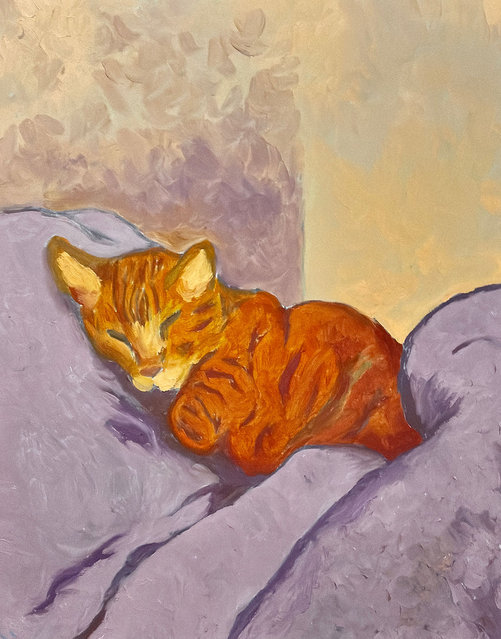 scardeycatprint.jpg