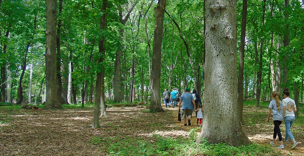 DSC00934_edited.jpg