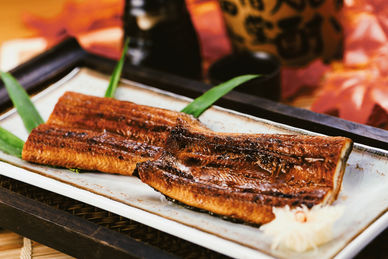 Unagi Kabayaki.jpg