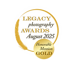 Honorable mention Gold (002).png