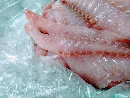 fresh snapper.jpeg