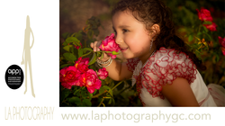 Floral Aristry