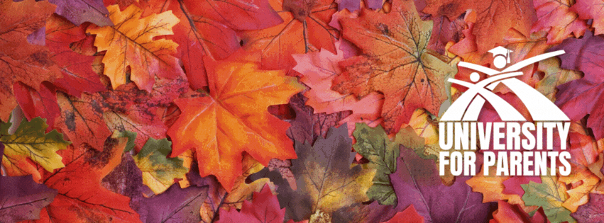 SUMMER 2025 (Facebook Cover) (8).gif