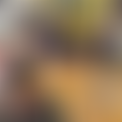 Kristof Steeno: l’importance du travail de proximité dans la lutte de l’exclusion numérique