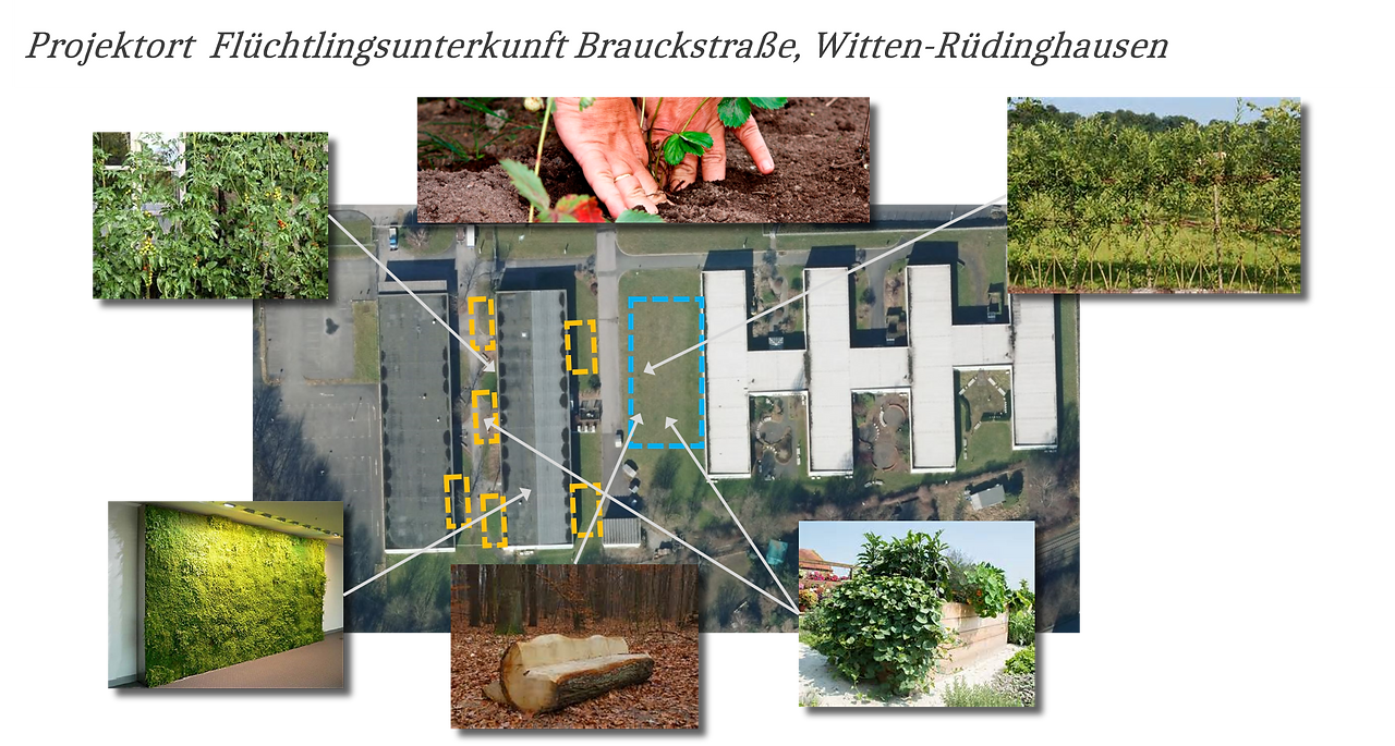 Urban_Gardening_Übersicht