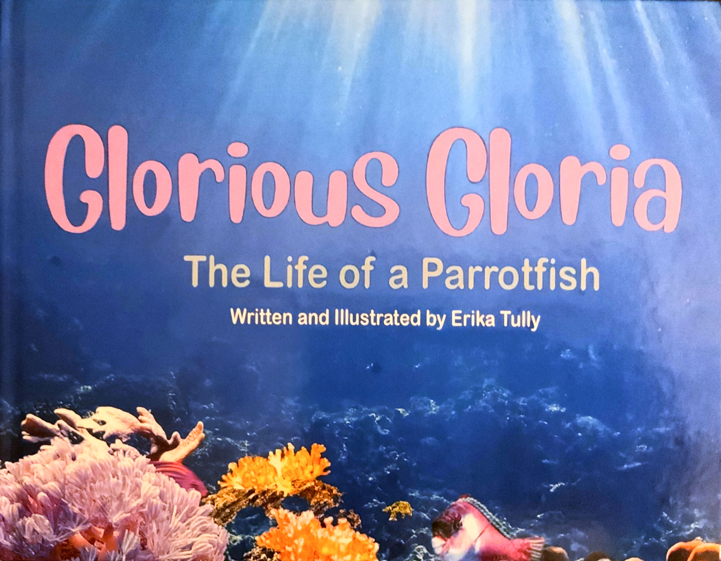 Glorious Gloria Softcover Book