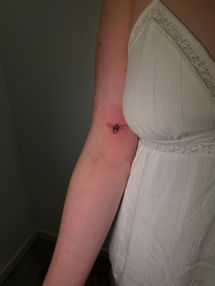 Fine-Line-Bienen-Tattoo an der Oberarm-Innenseite