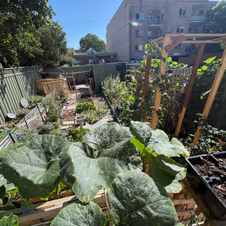 This messy space along the back fence was a dead zone