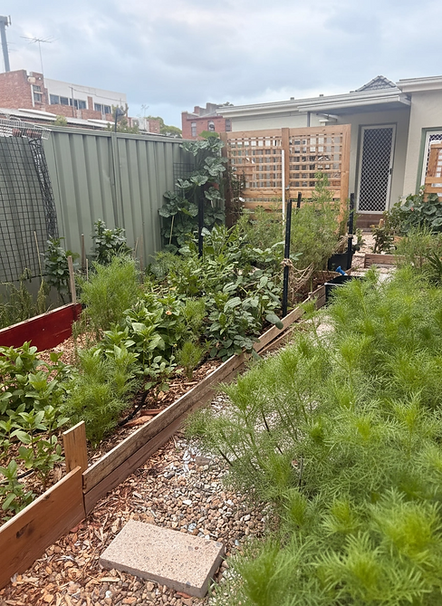 my own working garden