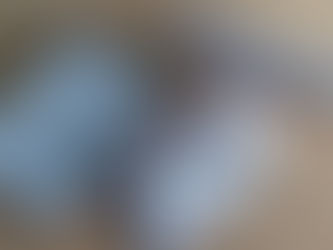 Phone Photography Challenge: Flowers