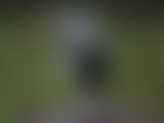 Photography Challenge: What's Your Angle?