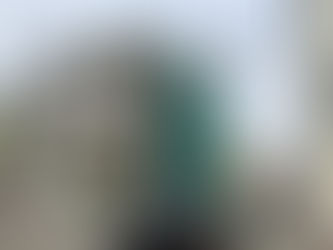 Salbke Quartier 75: Fenstereinbau