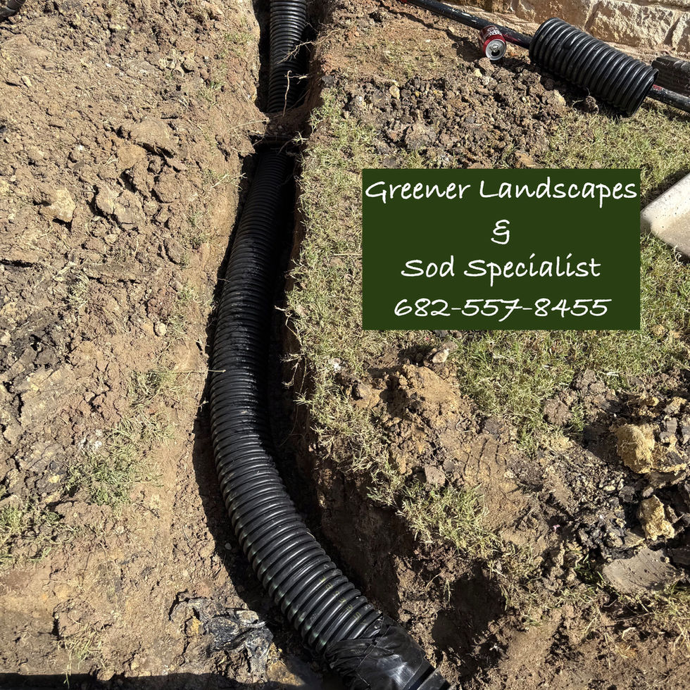 trench , drainage solution