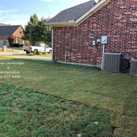 fresh sod installed after grading, and rich top soil