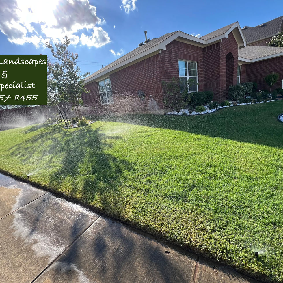 fresh sod installed after grading, and rich top soil