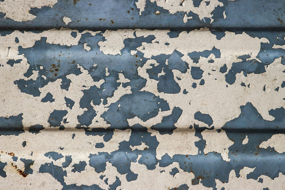 Metal Roofing