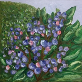Blueberry Bush
