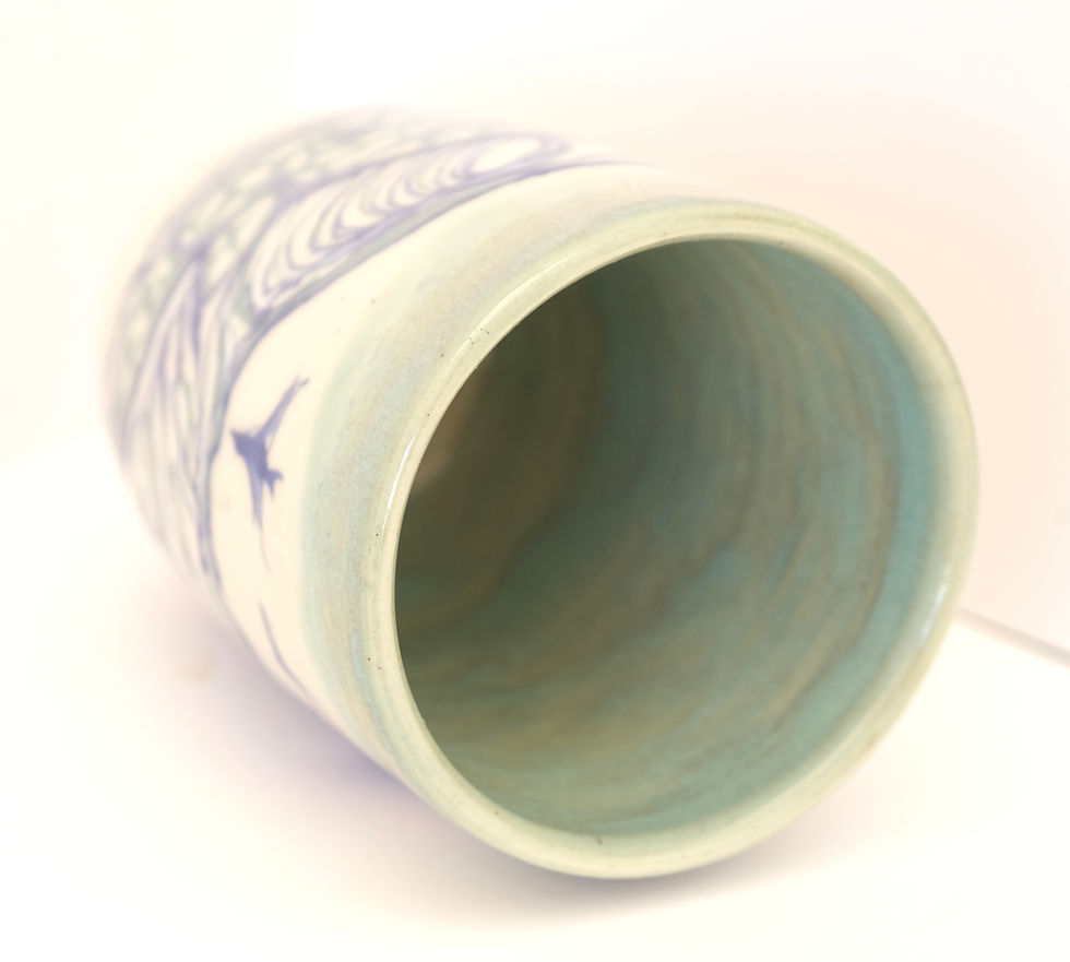 Thumbnail: Caribbean Ocean Life Cup 2