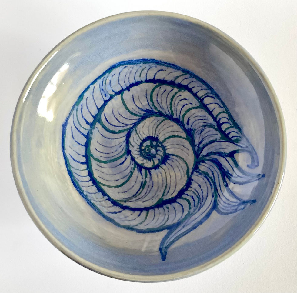 Nautilus Shallow Small Bowl