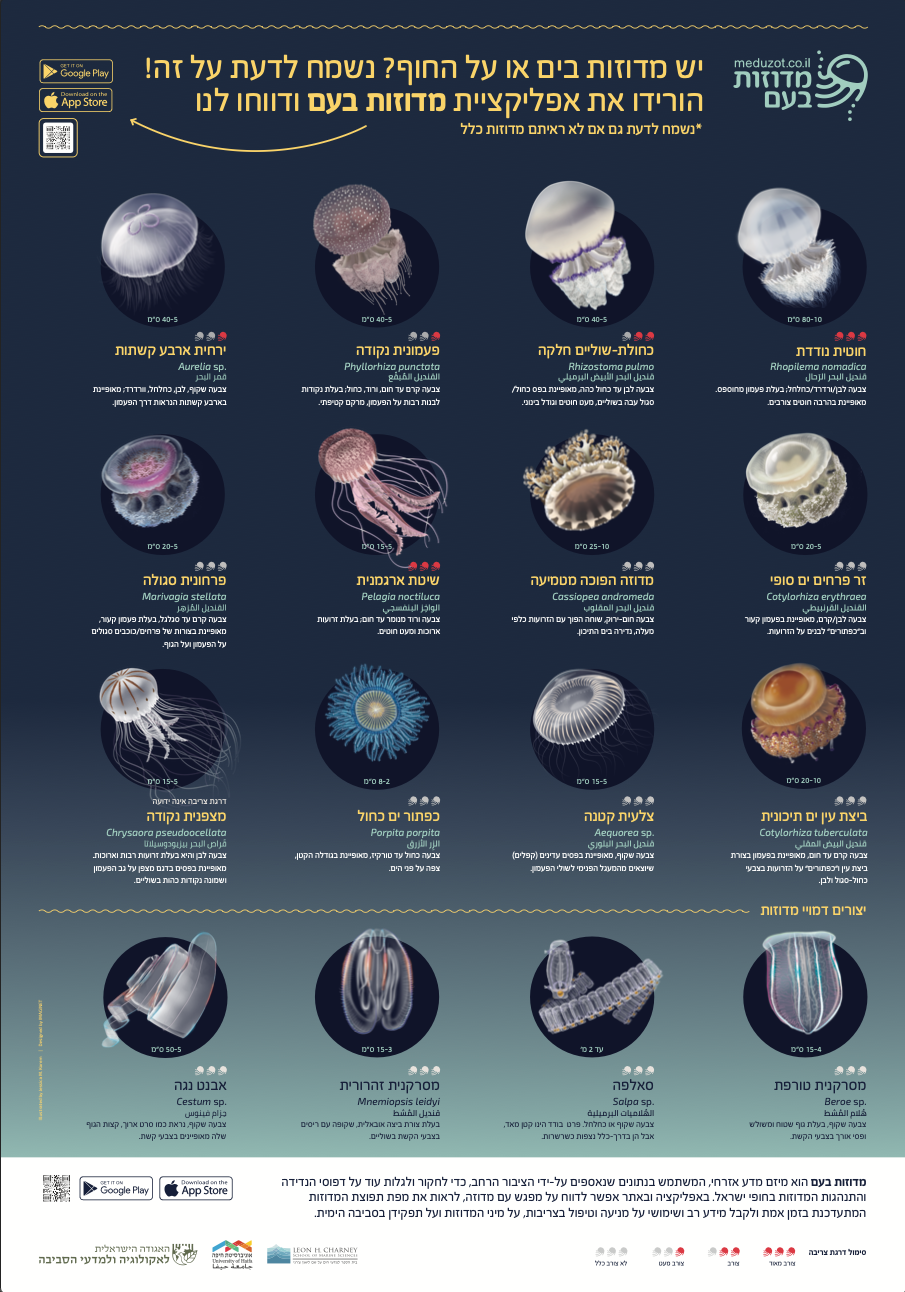 Here's the poster with all of the species and descriptions.