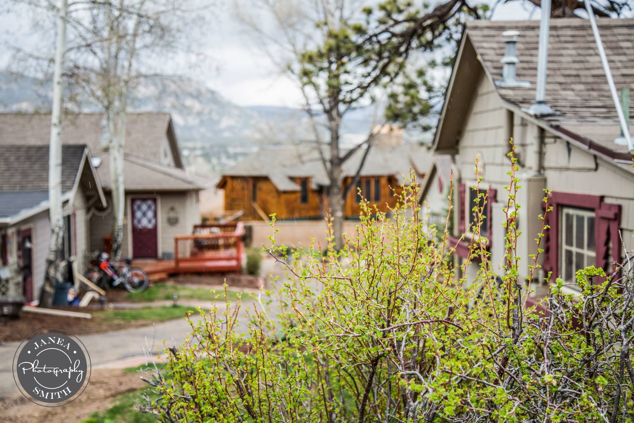 The Rustic Acre Vacation Rentals Estes Park Colorado MJ 420 OK Frien