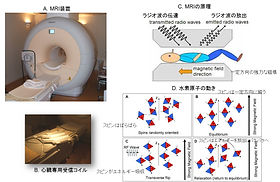 【裁断済み】値下げ！心臓疾患のCTとMRI 裁断済み】値下げ！心臓疾患のCTとMRI 本